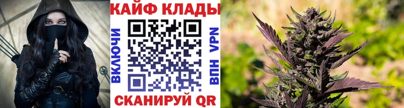Наркота Кириши Псилоцибиновые грибы  А ПВП  ГАШ  Конопля  Метамфетамин  АМФЕТАМИН 