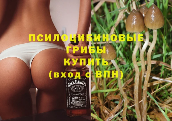 ALPHA-PVP Алексеевка
