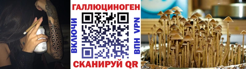 кракен как войти  где можно купить   Кириши  Галлюциногенные грибы ЛСД 